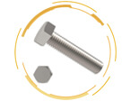 Hex Head Bolts