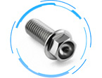 Hex Flange Bolts